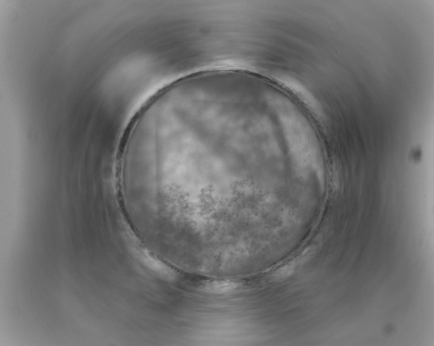 X0000090441278200707272146