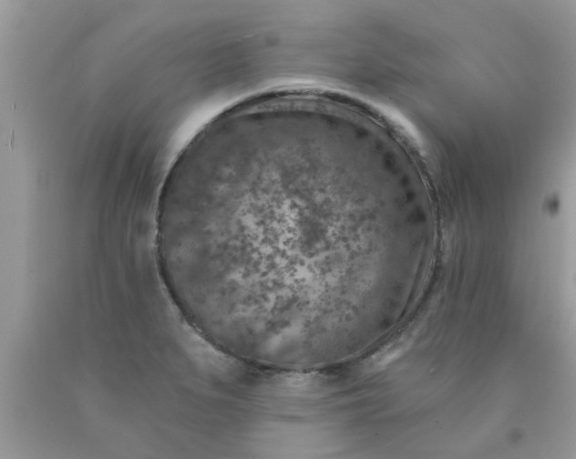 X0000090441279200707272146