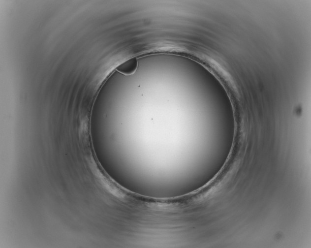 X0000090441281200707272146