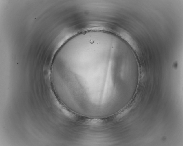 X0000090441282200707272146