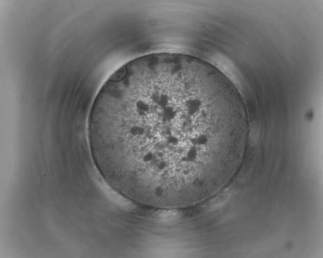 X0000090441283200707272146