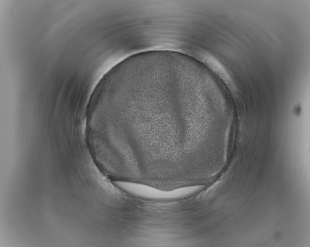 X0000090441284200707272146