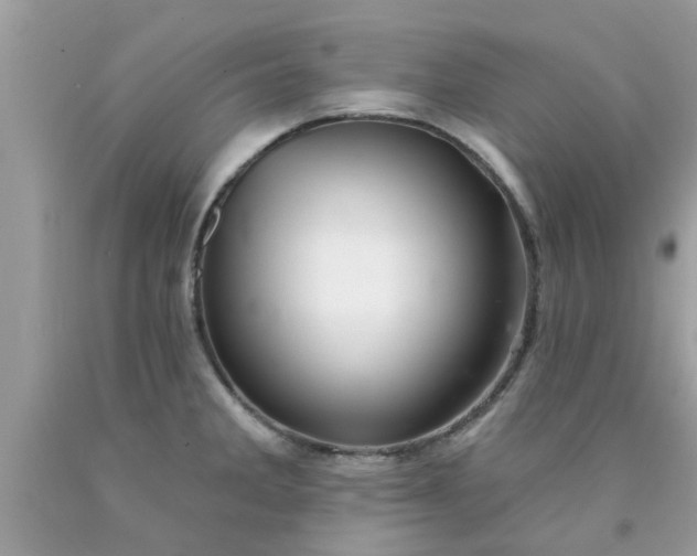 X0000090441285200707272146