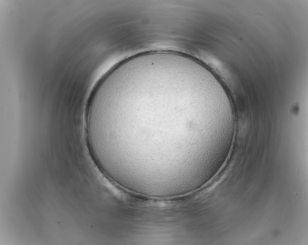 X0000090441286200707272146