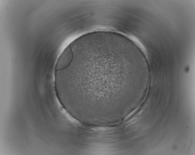 X0000090441287200707272146