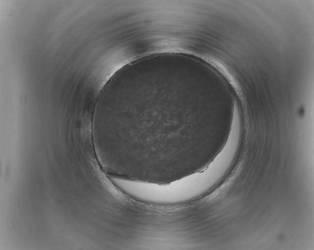 X0000090441289200707272146