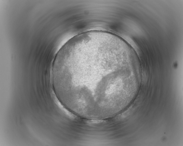 X0000090441290200707272146