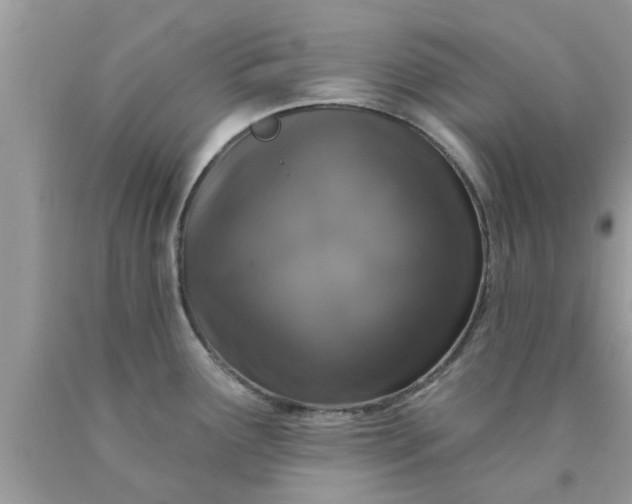 X0000090441291200707272146