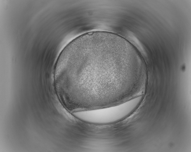 X0000090441292200707272146