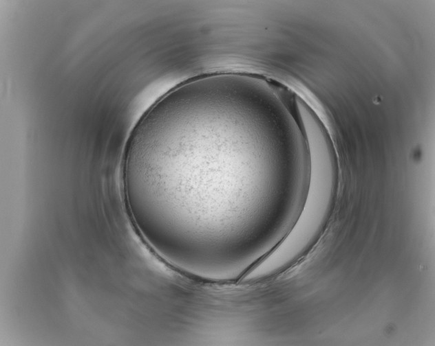 X0000090441293200707272146