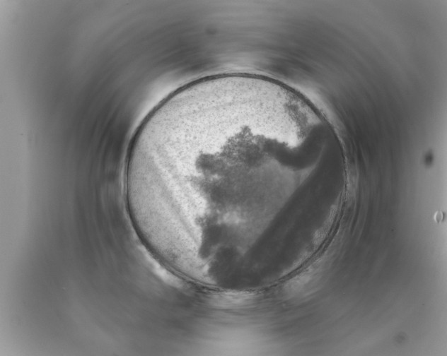 X0000090441294200707272146