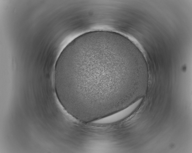 X0000090441295200707272146