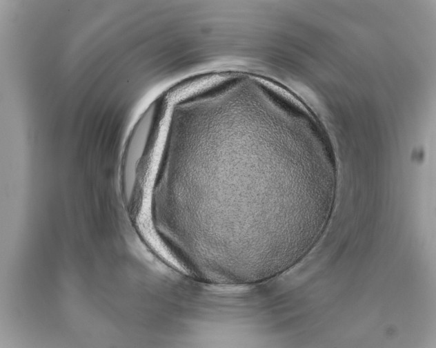 X0000090441296200707272146