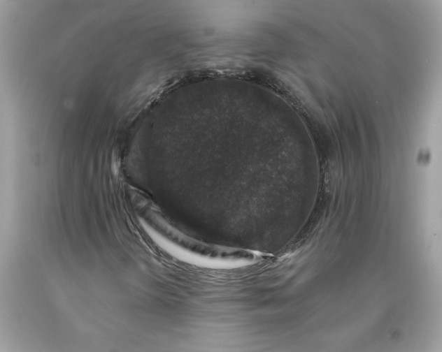 X0000090441298200707272145