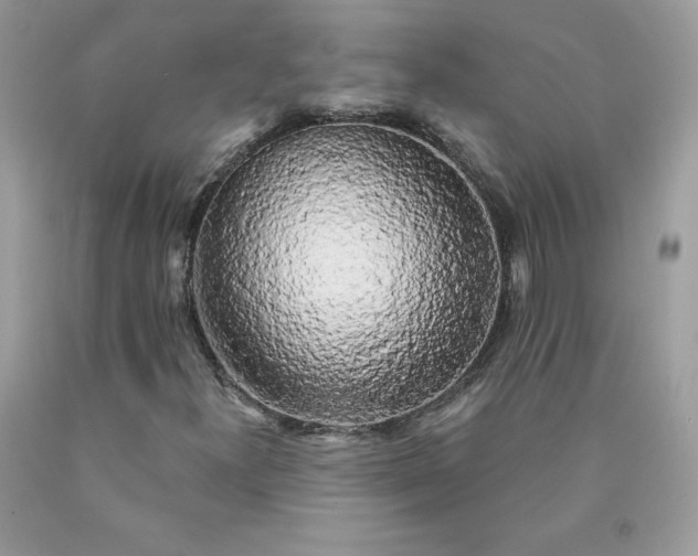 X0000090441300200707272145