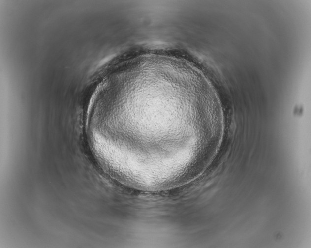 X0000090441301200707272145