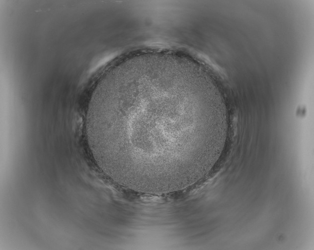 X0000090441302200707272145