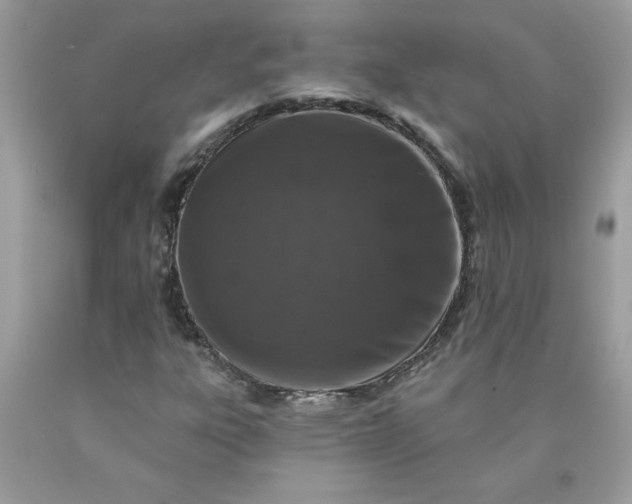 X0000090441303200707272145