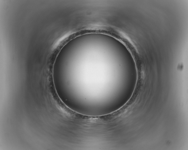 X0000090441304200707272145