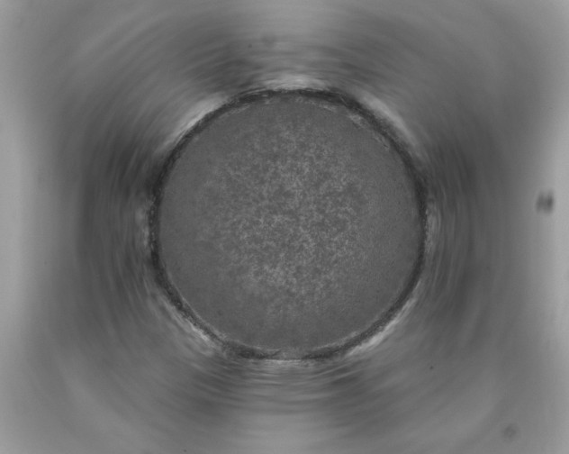 X0000090441305200707272145