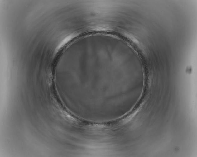 X0000090441306200707272145