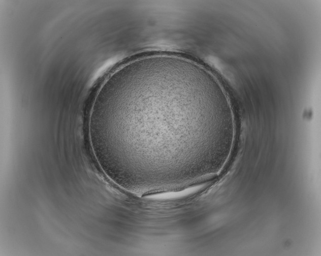 X0000090441307200707272146