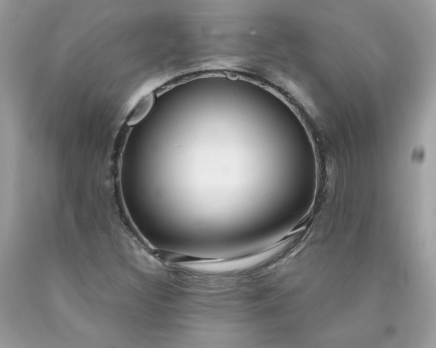 X0000090441308200707272146