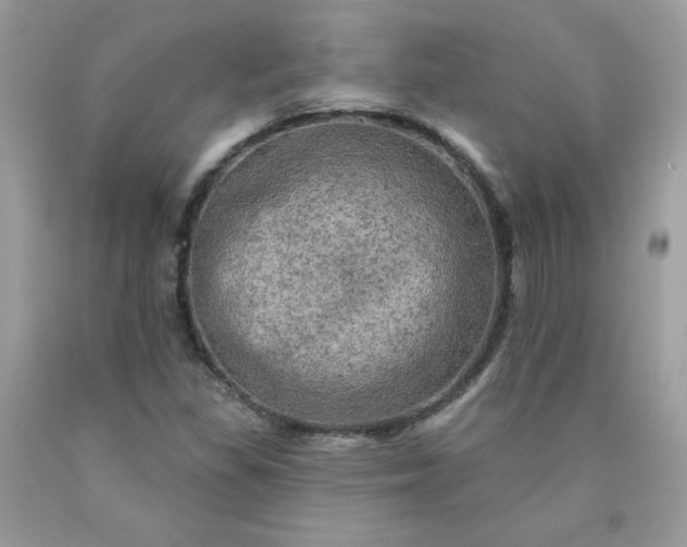 X0000090441309200707272146