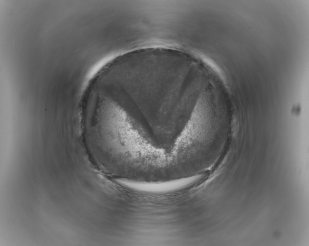 X0000090441310200707272146