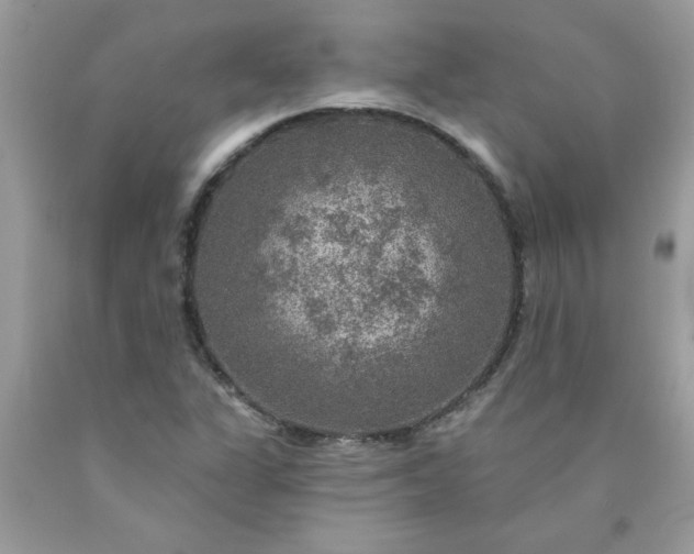 X0000090441311200707272146