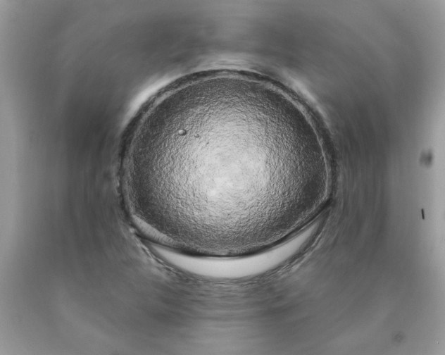 X0000090441312200707272146