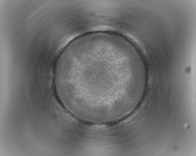 X0000090441313200707272146