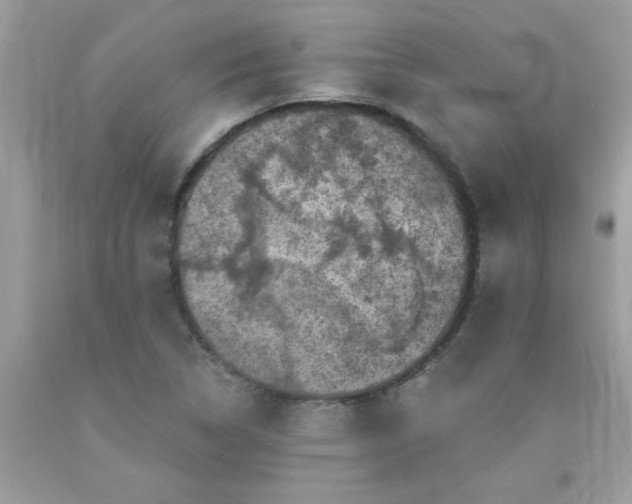 X0000090441314200707272146