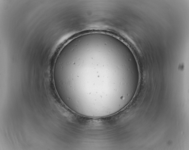 X0000090441315200707272146