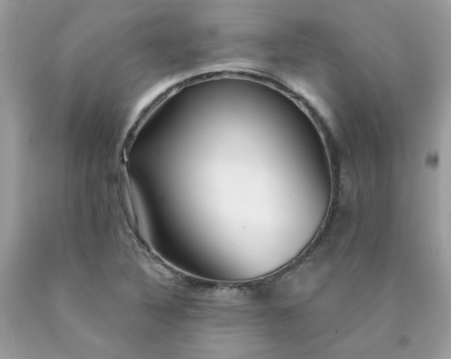 X0000090441316200707272146