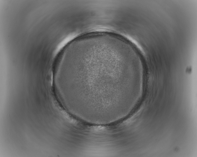 X0000090441317200707272146