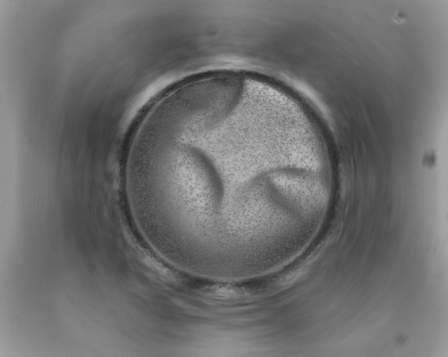 X0000090441318200707272146