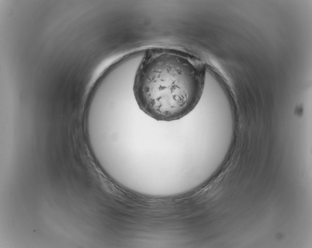 X0000090441320200707272146