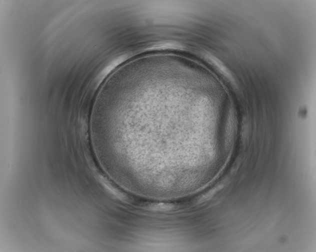 X0000090441321200707272146