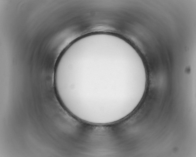 X0000090441322200707272146