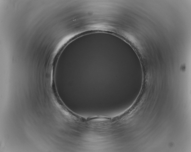 X0000090441323200707272146