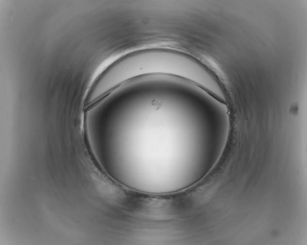 X0000090441324200707272146