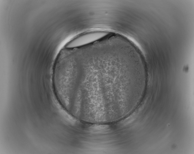 X0000090441325200707272146