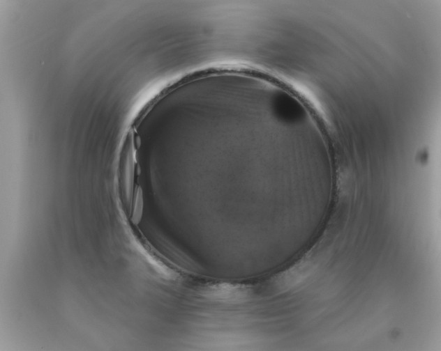 X0000090441327200707272146