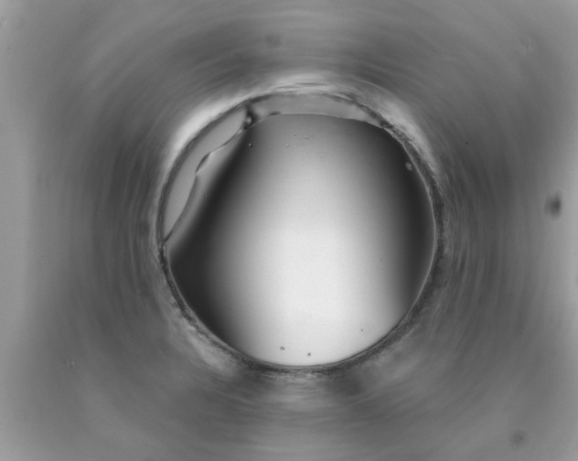 X0000090441328200707272146