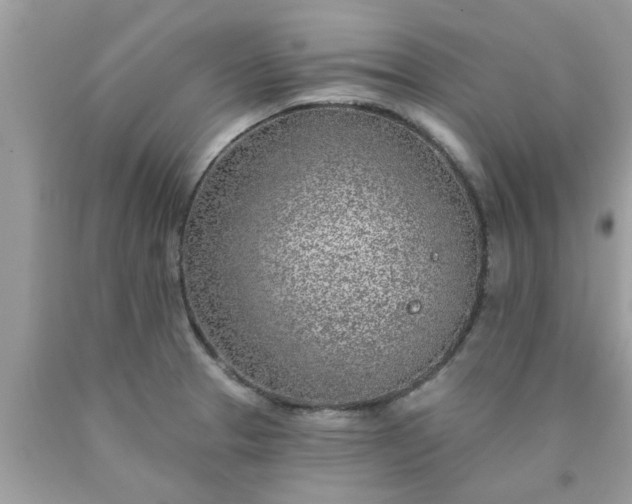 X0000090441329200707272146