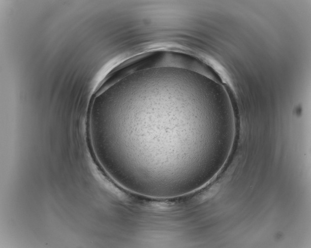 X0000090441330200707272146