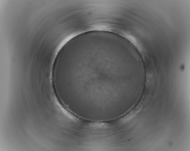 X0000090441331200707272146