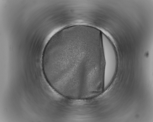 X0000090441333200707272146