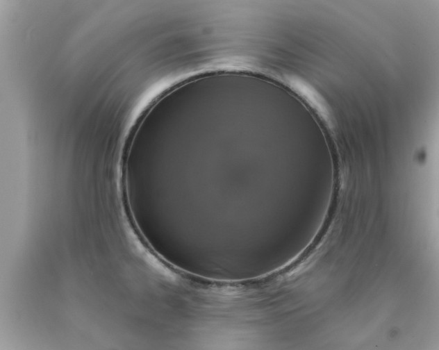 X0000090441334200707272146